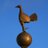 82_hotspur