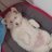 Angel81348517