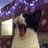 BeakyTweeter