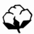 Bean_Cotton