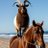 BigHorn2822