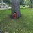 BrandonDimopou2