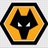 British_Wolf_25