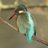 Chris_Daniels21