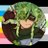 CloverMango_