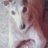 DeborahWorboys1