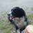 Erinthedog