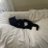 Flokie021
