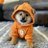 FreedogecoinCom