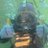 GDad11381402