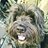 GREIG_FRASER_UK
