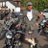 Global_Mongrel
