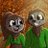 IrrationalSloth