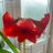 Jess_Simpson645