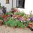 JoanMos87521028