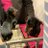 John_Tuns