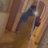L_ren27