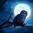 Lauranightowl