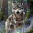 Lonewolfn7