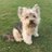 Malcolm_Sillick