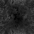 MisterQuintus