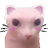 NotNordgaren