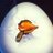 OddDuck97614228