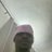 Omobranco_