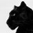 PantherAnalytic