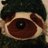 RadiationSloth