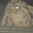 RandomMoth47
