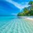 Renee_822506