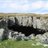 SeanLlangynidr