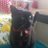 ShirleySarah70