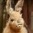 SonOfRuncible