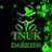 TNUK_Darkish