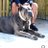 Tom006007