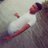 Truekonig