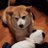VeNoMzShibe