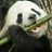 WPanda76