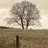 aftertheflood_