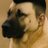 agaefendi_