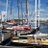 alex_smerdon