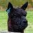 alpacapower