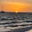 andy_nicks60