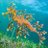 aquanauts2019