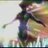 ballad_bird