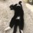 bardne53756