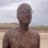 bergy_bit