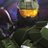 bestspartan777